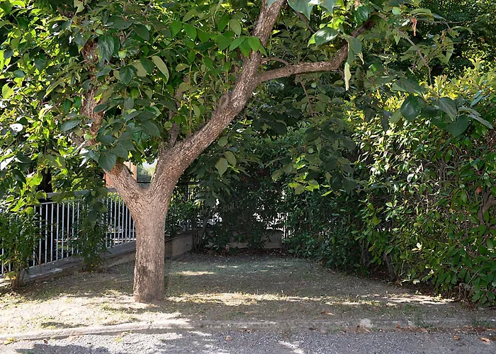 La Casa Di Ambra